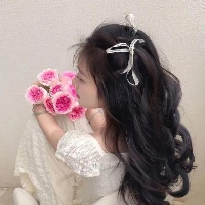 《兰伽斯塔拉姆恩仇录》海报